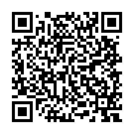 QR code for 25P595