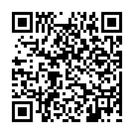 QR code for 28F317