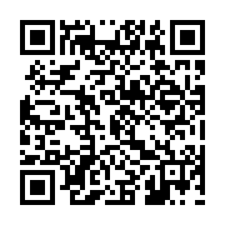 QR code for 28Z006