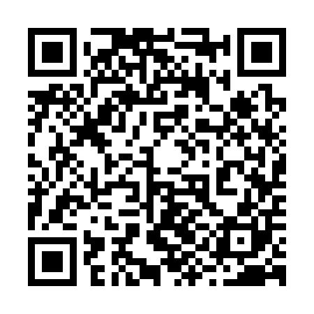 QR code for 29C300