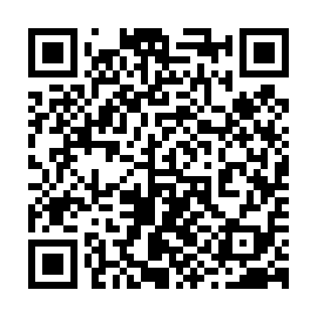 QR code for 29C419