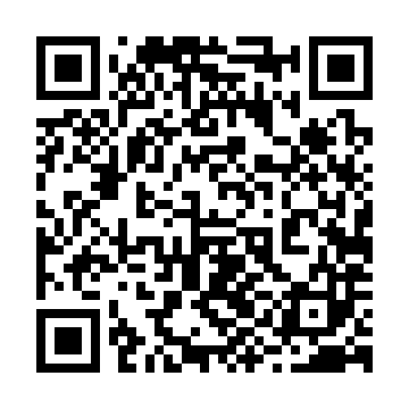 QR code for 29D383