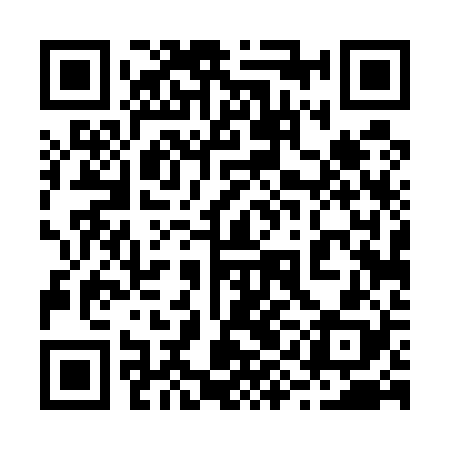 QR code for 29D528