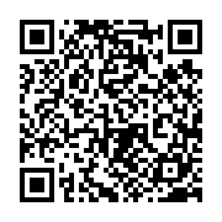 QR code for 29D665
