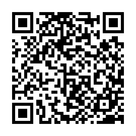 QR code for 29D707