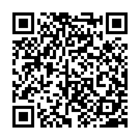 QR code for 29DH88