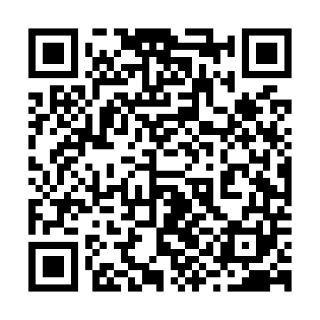 QR code for 29DO41
