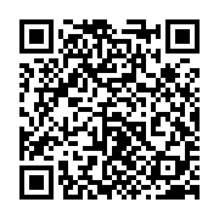 QR code for 29FI99