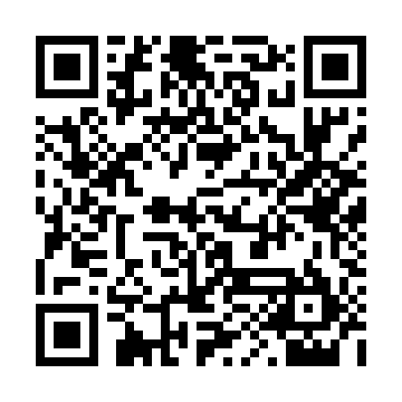 QR code for 29G595
