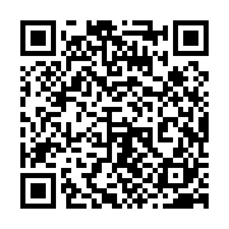 QR code for 29HQ20