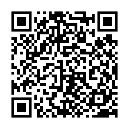QR code for 29IV25