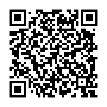 QR code for 29L493
