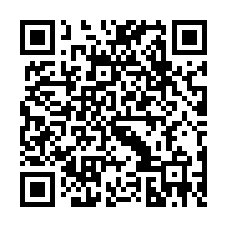 QR code for 29LU65