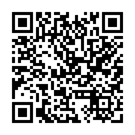 QR code for 29M383