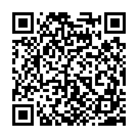 QR code for 29MG62