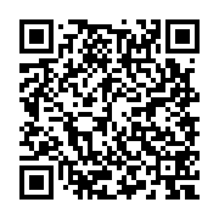 QR code for 29N158