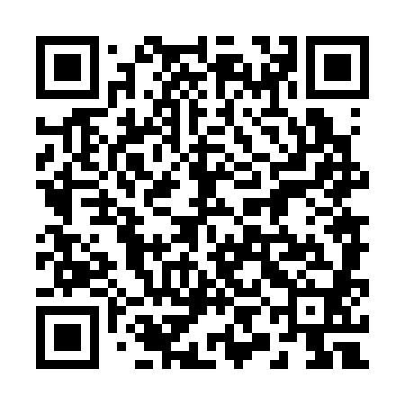 QR code for 29N380