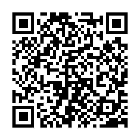 QR code for 29N799