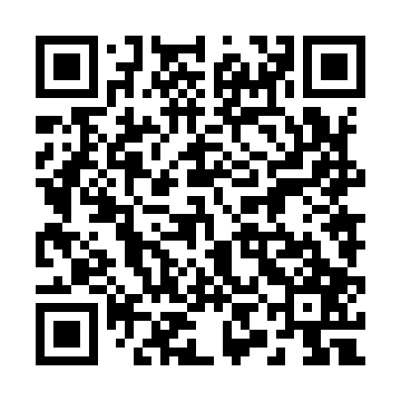 QR code for 29N907