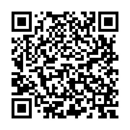 QR code for 29OI41