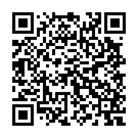 QR code for 29P041