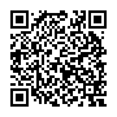 QR code for 29P299