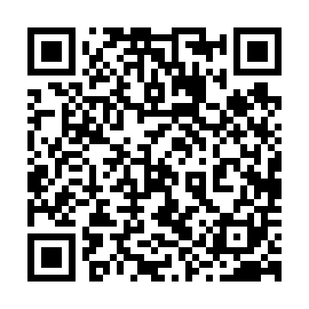 QR code for 29P601