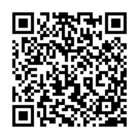 QR code for 29Q065