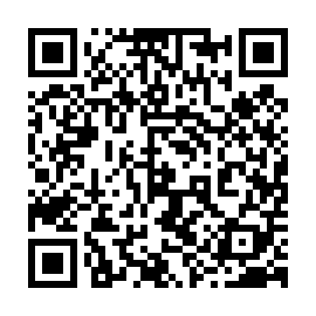 QR code for 29Q409