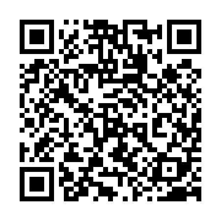 QR code for 29Q509