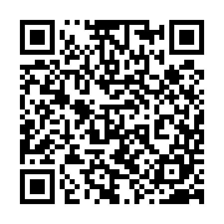 QR code for 29Q545