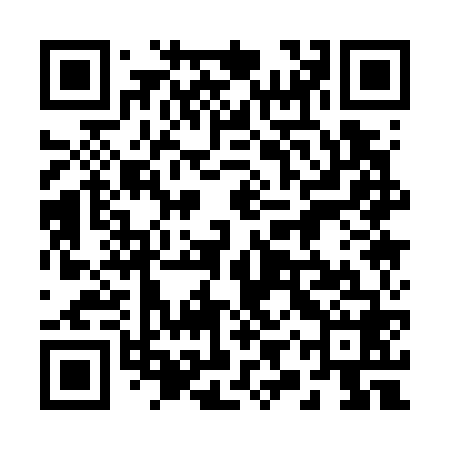 QR code for 29Q768