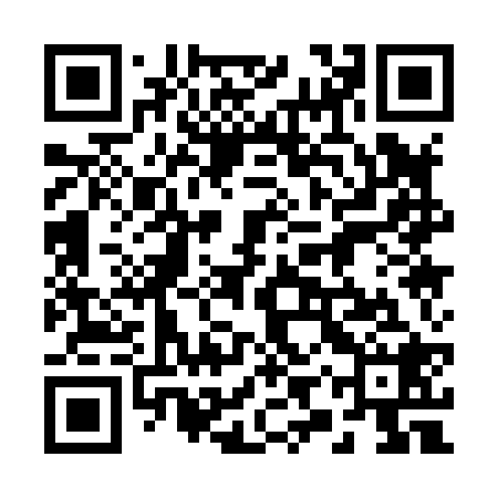 QR code for 29Q828