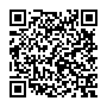 QR code for 29Q870