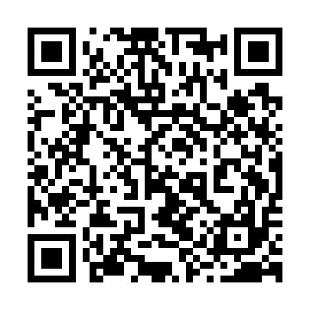QR code for 29QG17