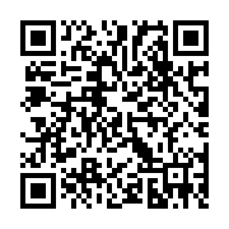 QR code for 29QI04