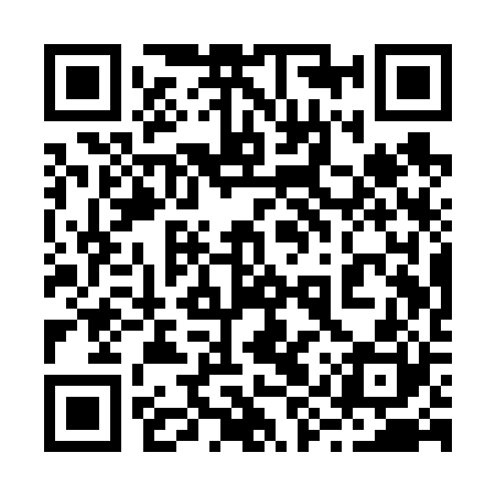 QR code for 29QV20