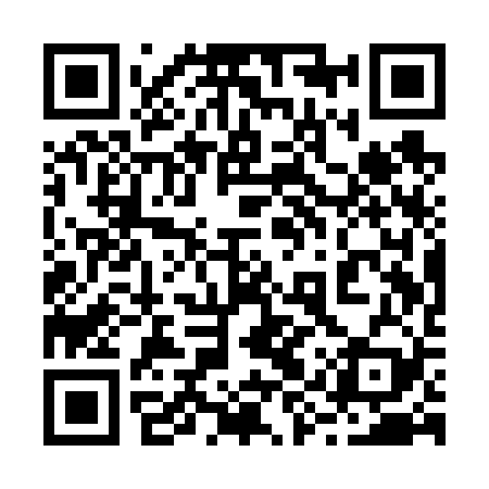 QR code for 29QV29