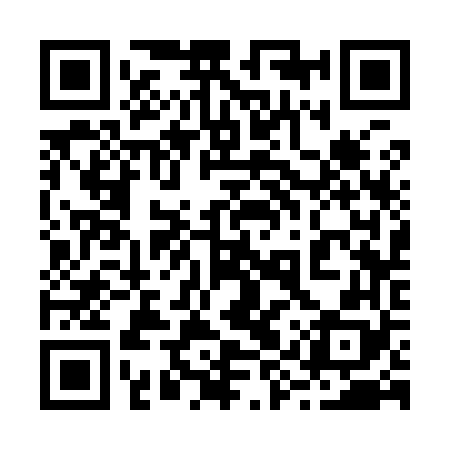 QR code for 29S968