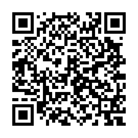 QR code for 29SP90