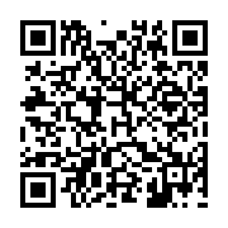 QR code for 29T271
