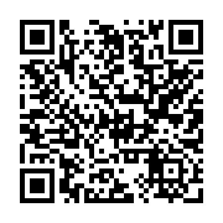 QR code for 29T293