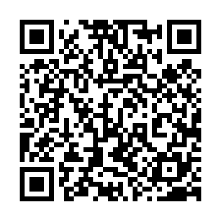 QR code for 29T475