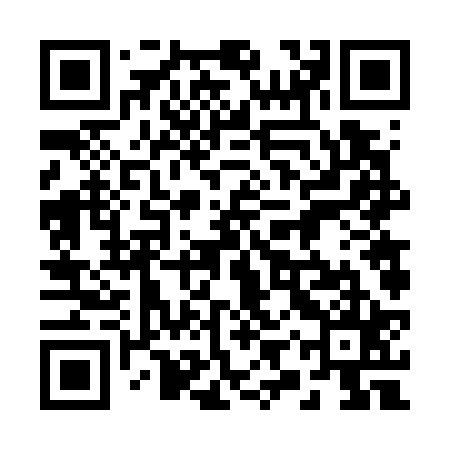 QR code for 29V725