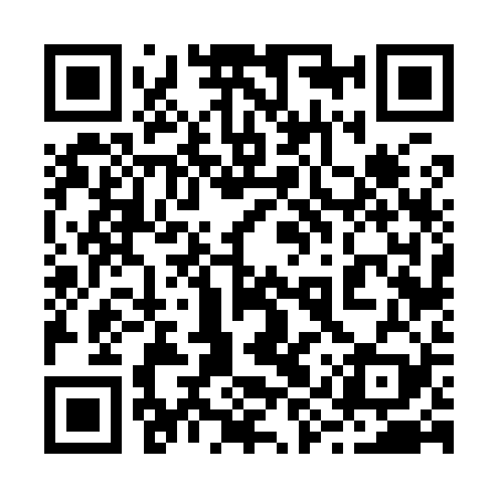 QR code for 29V929
