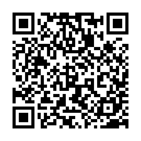 QR code for 29V985