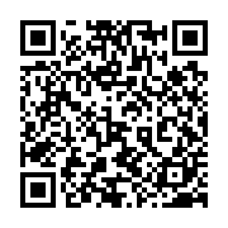 QR code for 29VG00