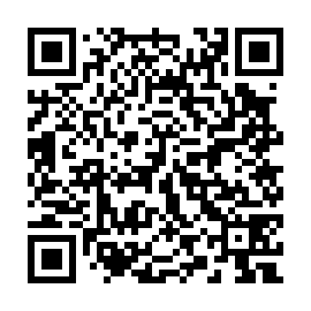 QR code for 29W078