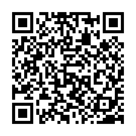 QR code for 29W099
