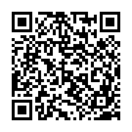 QR code for 29WP66